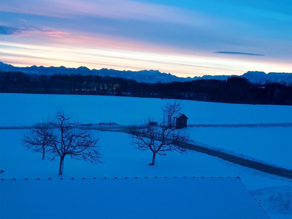 Apartament Feichtlhof Taching am See Zewnętrze zdjęcie
